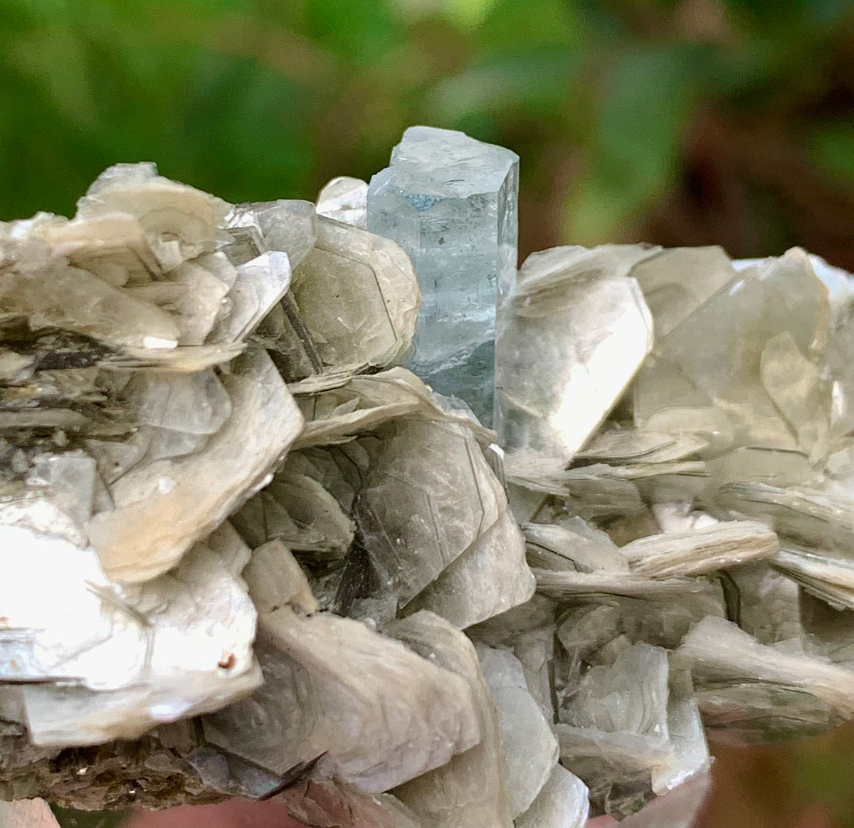 Blue Aquamarine beautiful termination crystal on Muscovite mica from skardu Pakistan Natural crystal specimen