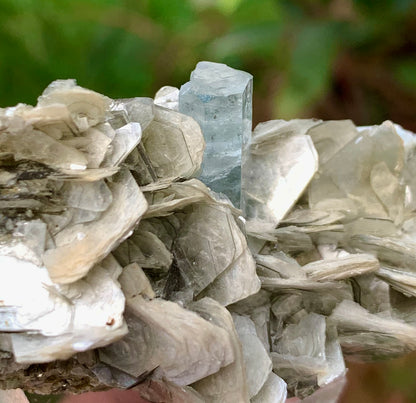 Blue Aquamarine beautiful termination crystal on Muscovite mica from skardu Pakistan Natural crystal specimen