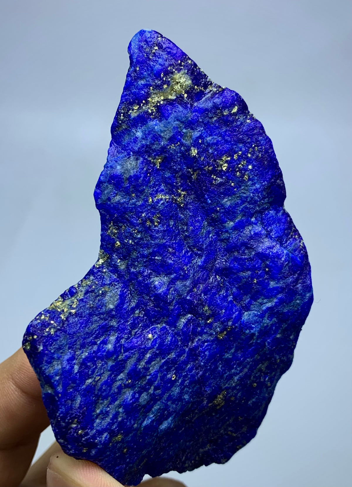 A raw, rough-cut natural lapis lazuli crystal with bright royal blue color and metallic gold pyrite inclusions, held by a hand against a light gray background.