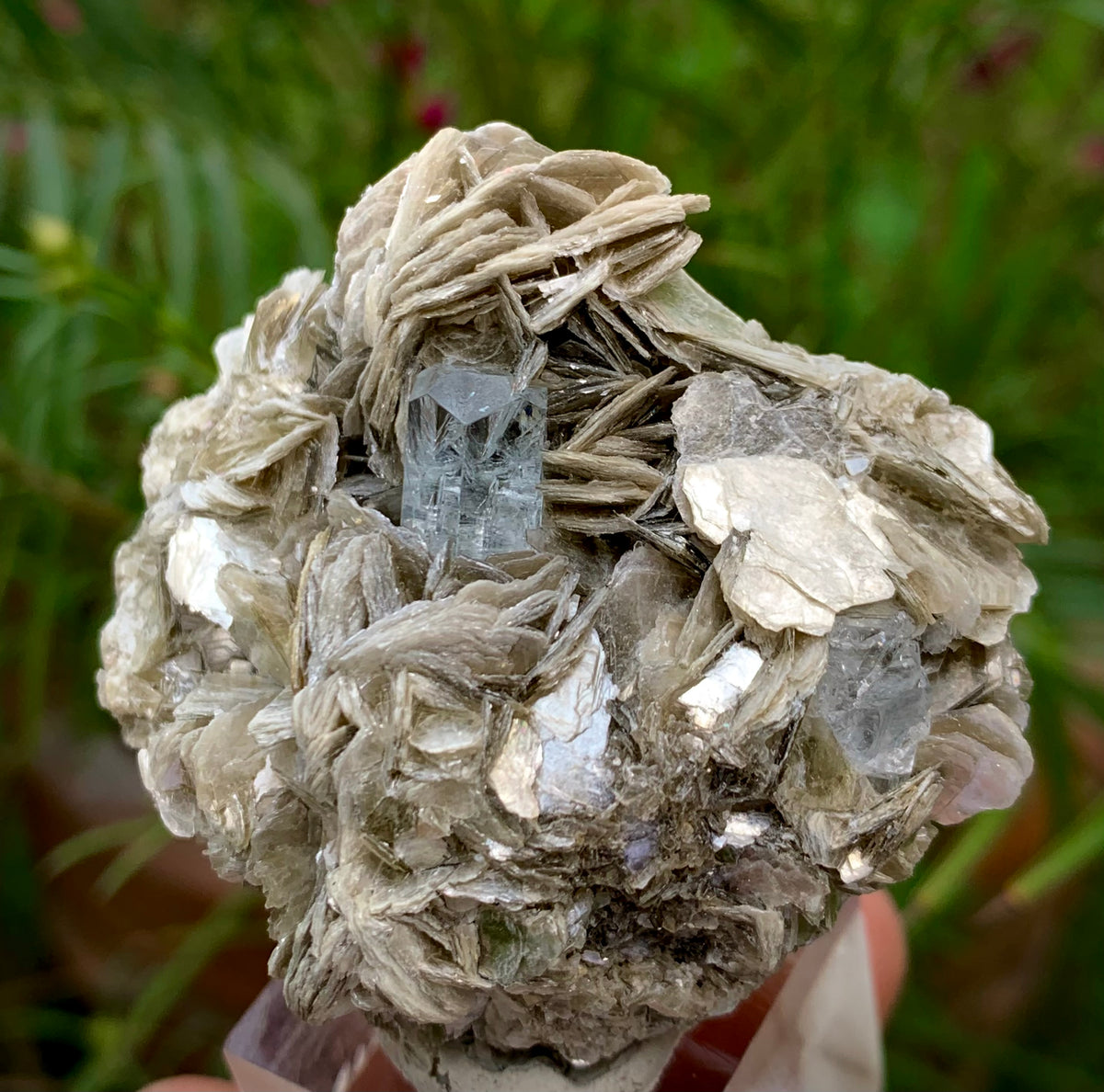 69 Grams Natural Blue Aquamarine Terminated Crystal on Muscovite Mica Matrix From Pakistan