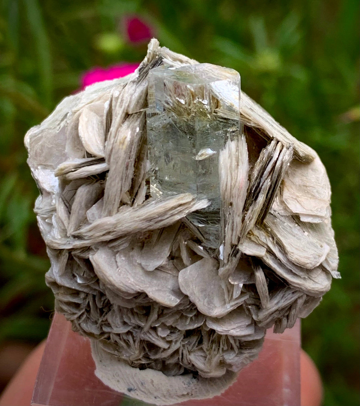 21g Natural Blue Aquamarine Crystal on Muscovite Mica Matrix from Pakistan