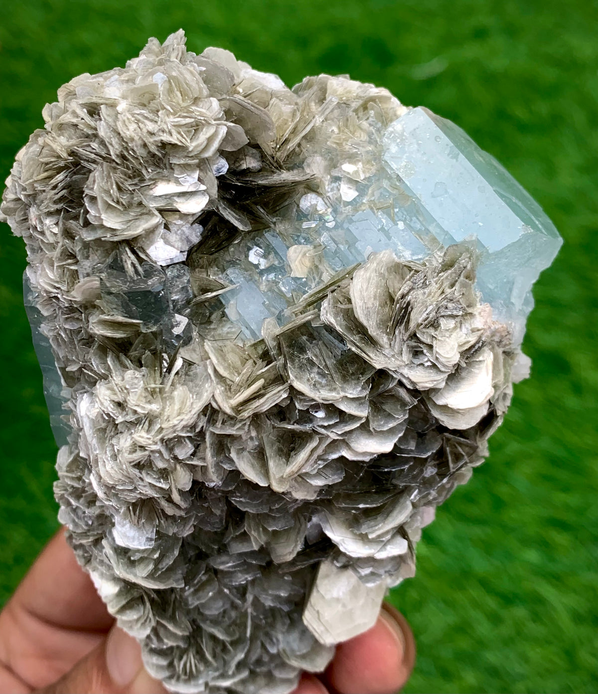 342 Grams Natural Blue Aquamarine Terminated Crystal Specimen on Muscovite Mica Matrix From Pakistan