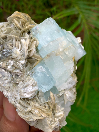 312 Grams Natural Blue Aquamarine Terminated Crystal Specimen on Muscovite Mica Matrix
