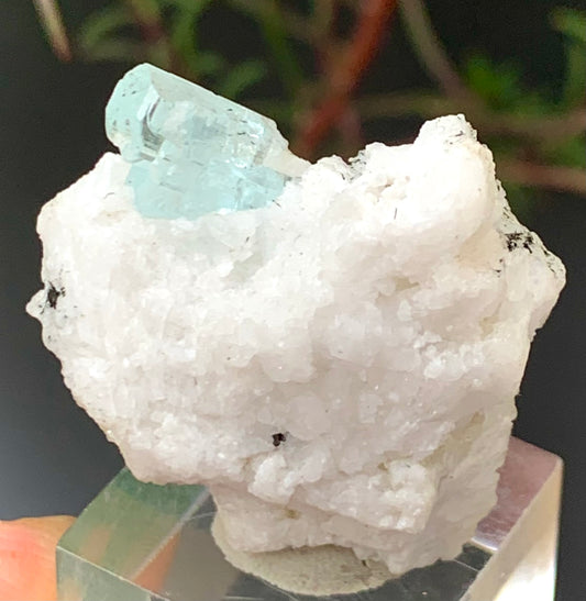 Aquamarine Crystal on Feldspar Matrix – Skardu Pakistan