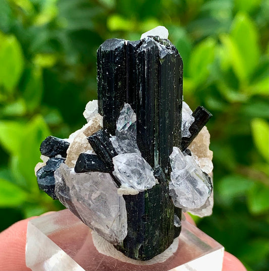 27 Grams Natural Epidote Terminated Cluster of Crystal Black Tourmaline Crystals with Clear Quartz Crystal on Mica Matrix From Afghanistan