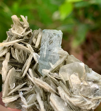 Blue Aquamarine beautiful termination crystal on Muscovite mica from skardu Pakistan Natural crystal specimen