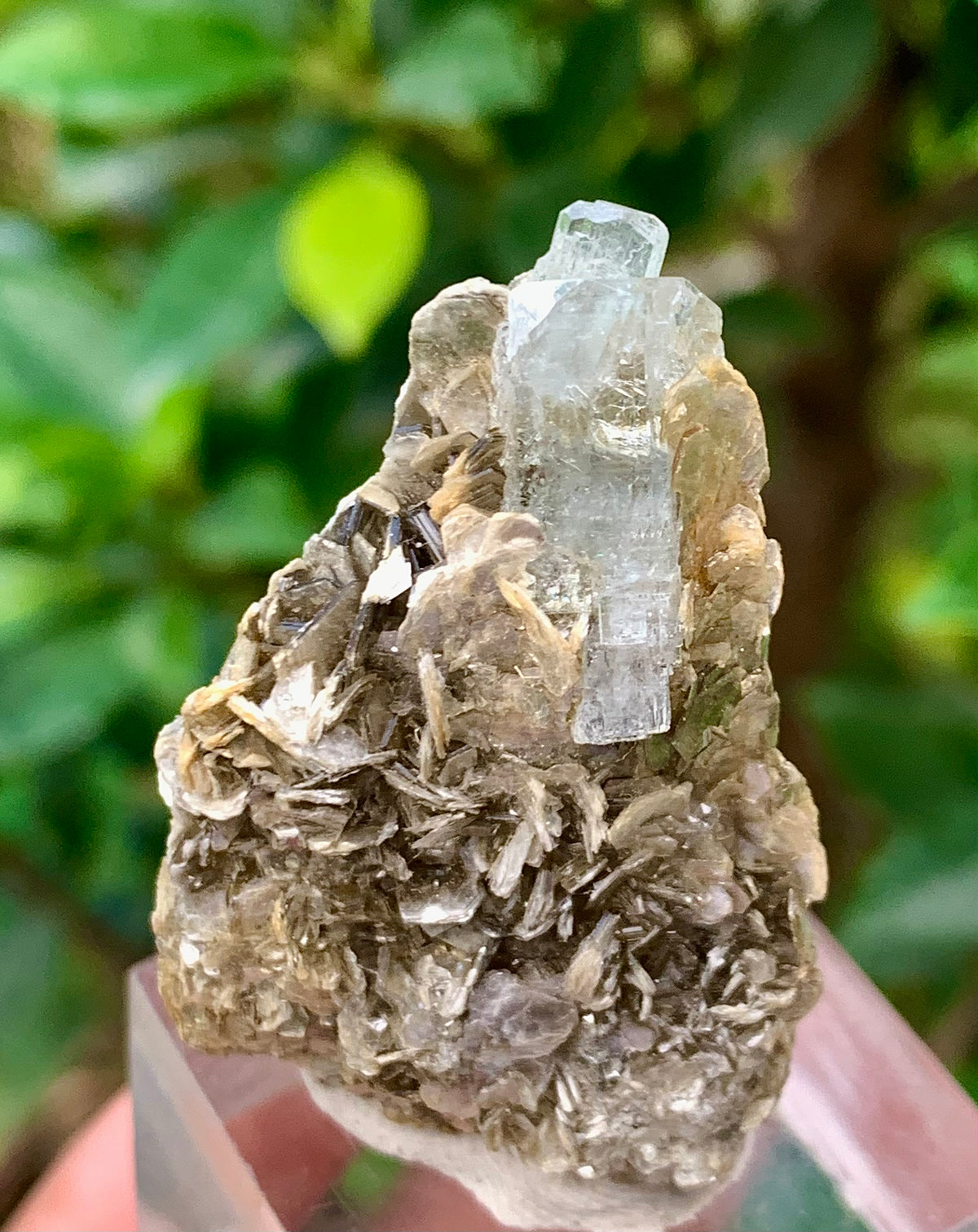 Natural Blue Aquamarine Terminated Crystal on Crystal with Muscovite Mica Matrix from Pakistan