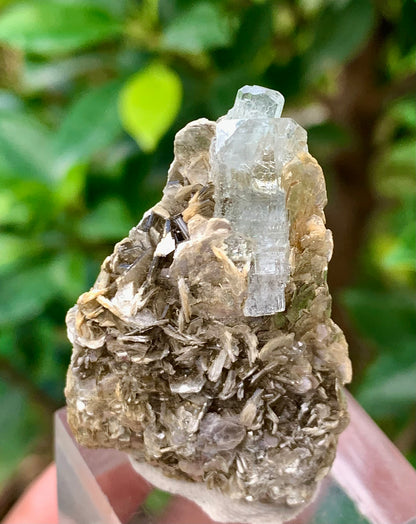 Natural Blue Aquamarine Terminated Crystal on Crystal with Muscovite Mica Matrix from Pakistan