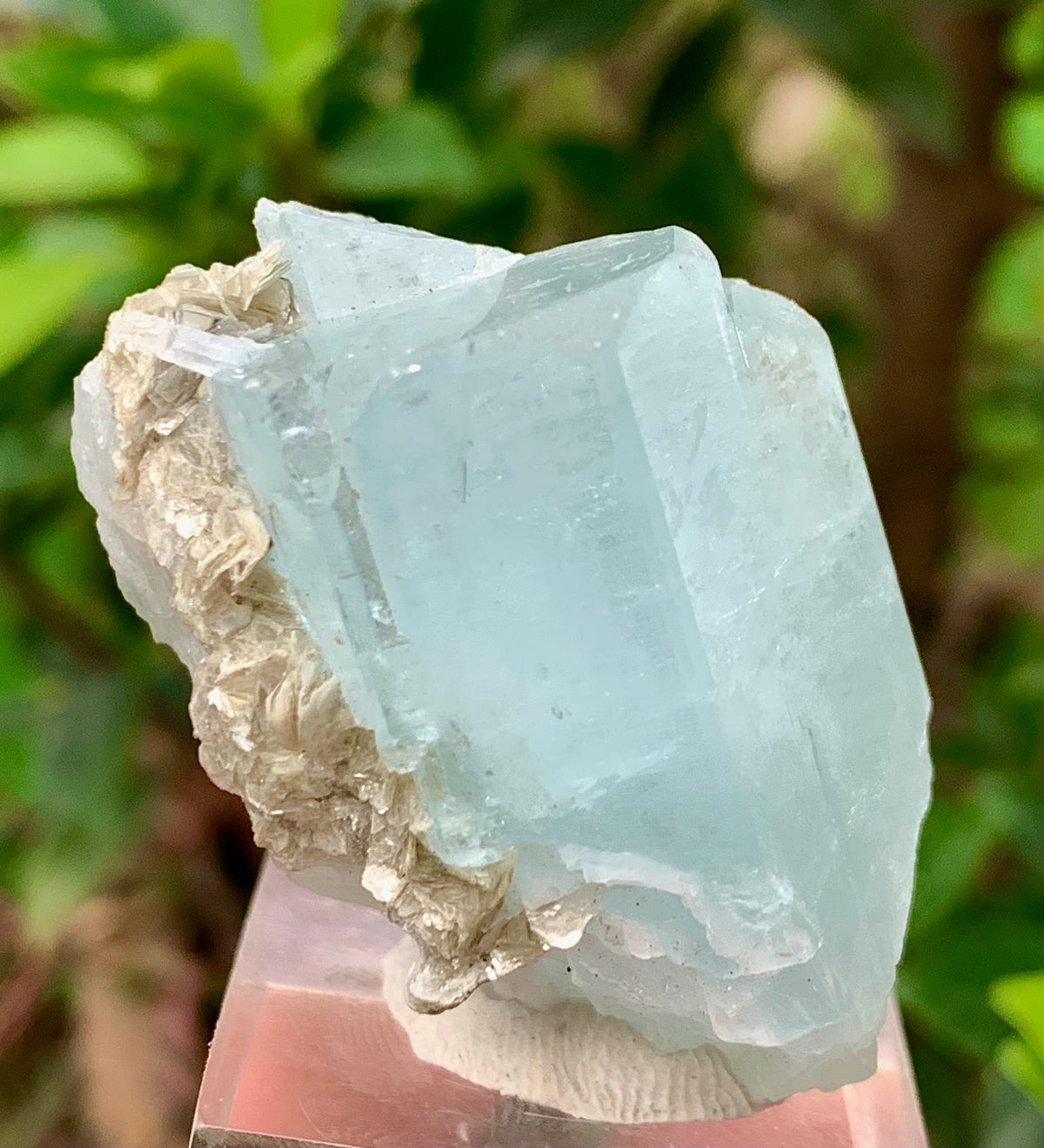 47 Grams Natural Aquamarine Terminated Blue Crystal with Muscovite Mica Matrix from Gilgit Pakistan