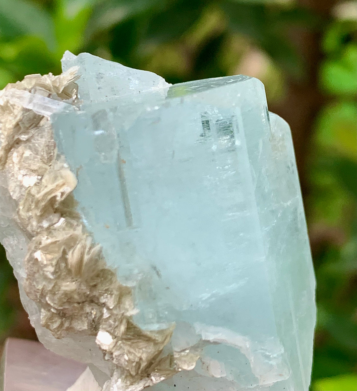 47 Grams Natural Aquamarine Terminated Blue Crystal with Muscovite Mica Matrix from Gilgit Pakistan