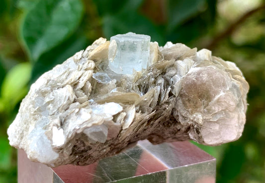 23 Grams Natural Blue Aquamarine Terminated Crystal on Muscovite Mica Matrix From Pakistan