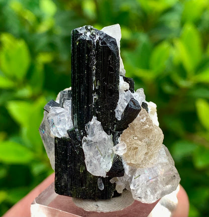 27 Grams Natural Epidote Terminated Cluster of Crystal Black Tourmaline Crystals with Clear Quartz Crystal on Mica Matrix From Afghanistan