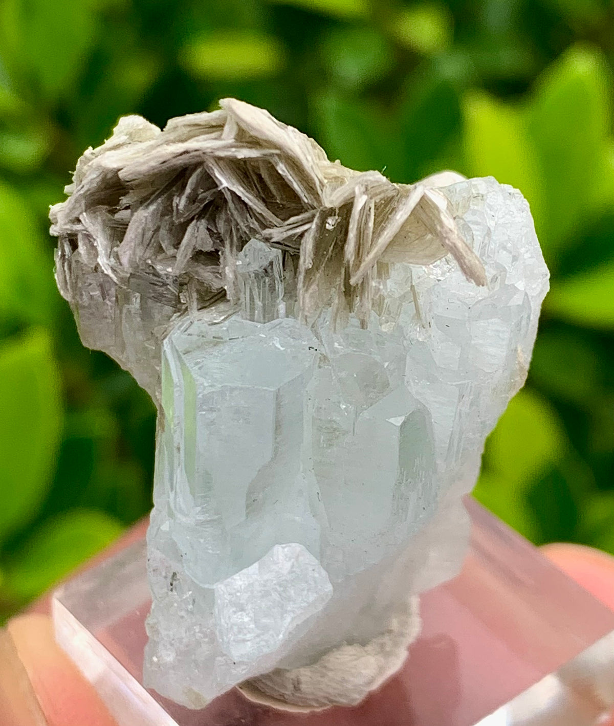 20 Grams Natural Blue Aquamarine Terminated Crystal Specimen on Muscovite Mica Matrix From Pakistan