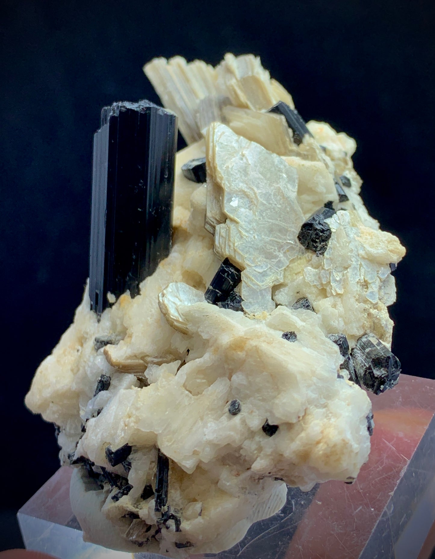 Black Tourmaline Schorl Crystal Cluster on Matrix | Pakistan Mineral Specimen