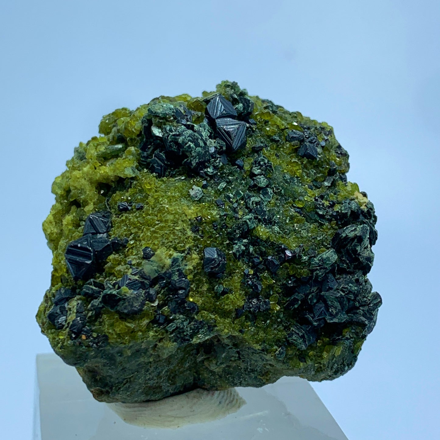 Magnetite, Vesuvianite, Diopside  on Matrix from Pakistan