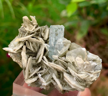 Blue Aquamarine beautiful termination crystal on Muscovite mica from skardu Pakistan Natural crystal specimen