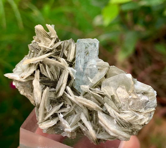 Blue Aquamarine beautiful termination crystal on Muscovite mica from skardu Pakistan Natural crystal specimen