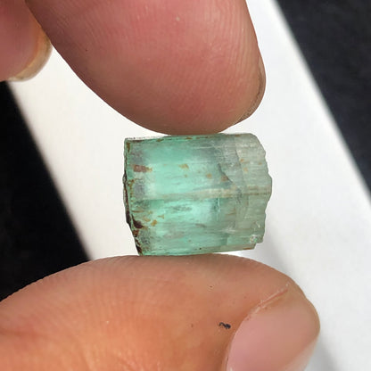 Emerald Rough, 14.5 Carat Emerald, Uncut Gemstone, Vivid Green, Afghan Emerald, Afghanistan Crystal, Raw Beryl, Emerald Crystal, May Birthstone, Lapidary Rough, Investment Grade