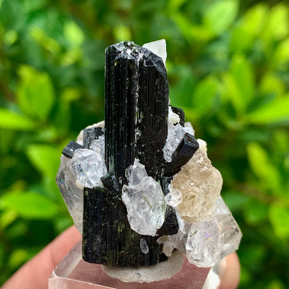 27 Grams Natural Epidote Terminated Cluster of Crystal Black Tourmaline Crystals with Clear Quartz Crystal on Mica Matrix From Afghanistan