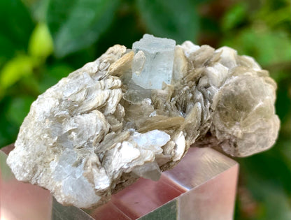 23 Grams Natural Blue Aquamarine Terminated Crystal on Muscovite Mica Matrix From Pakistan