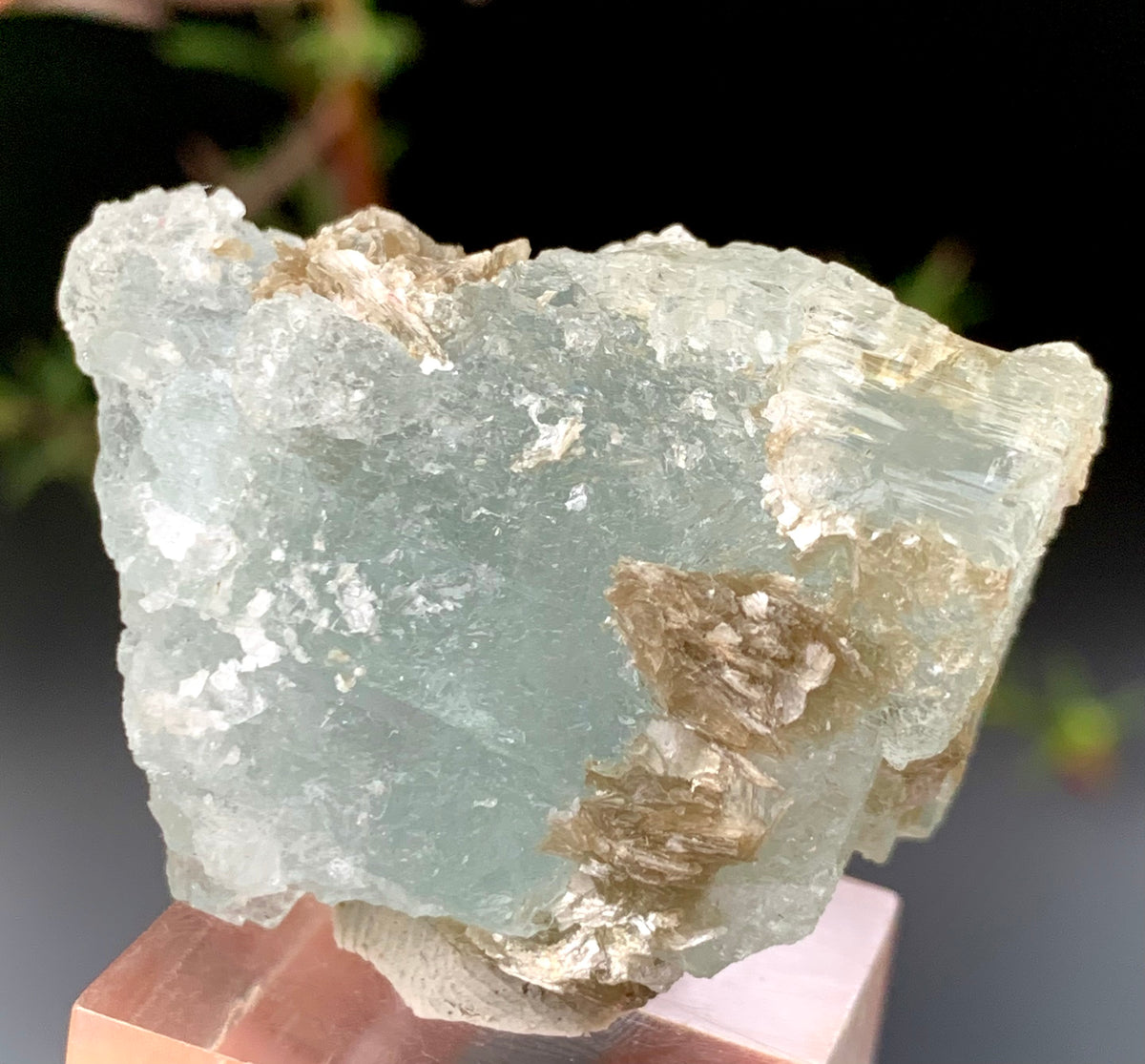 36g Natural Etched Aquamarine Crystal on Muscovite Mica Matrix from Pakistan