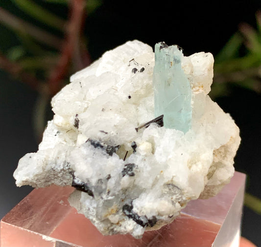 Etched Aquamarine with Schorl on Feldspar – Pakistan