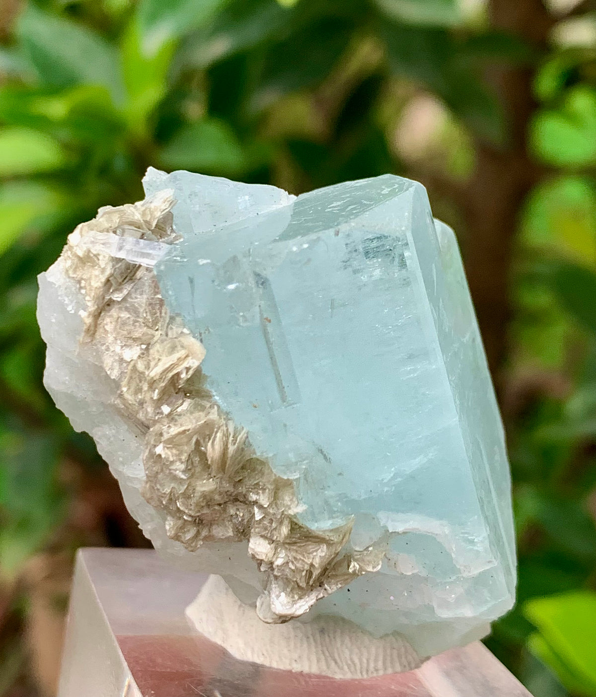 47 Grams Natural Aquamarine Terminated Blue Crystal with Muscovite Mica Matrix from Gilgit Pakistan