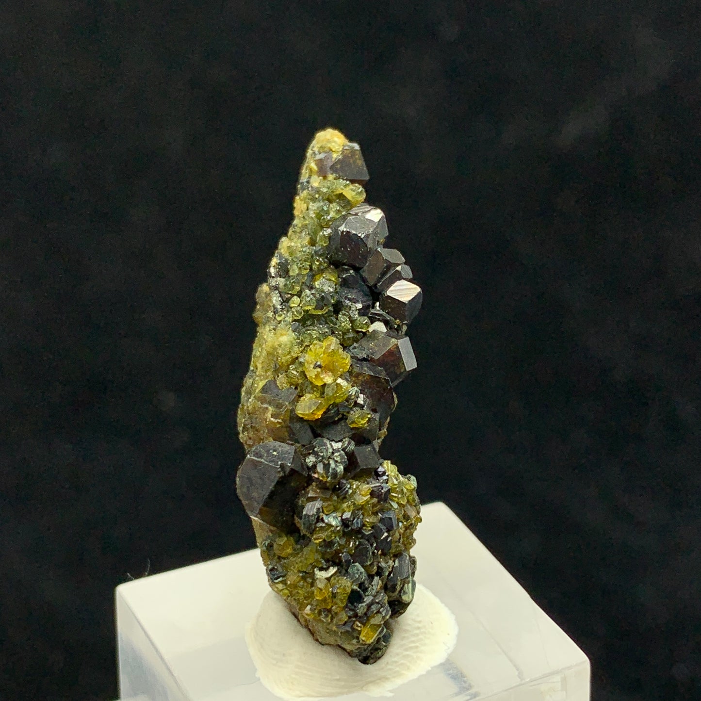 Andradite Garnet, Vesuvianite, Magnetite, 63 Carat, Skardu Pakistan, Mineral Association, Garnet Crystal, Idocrase, Collector Specimen, Pakistan Mineral