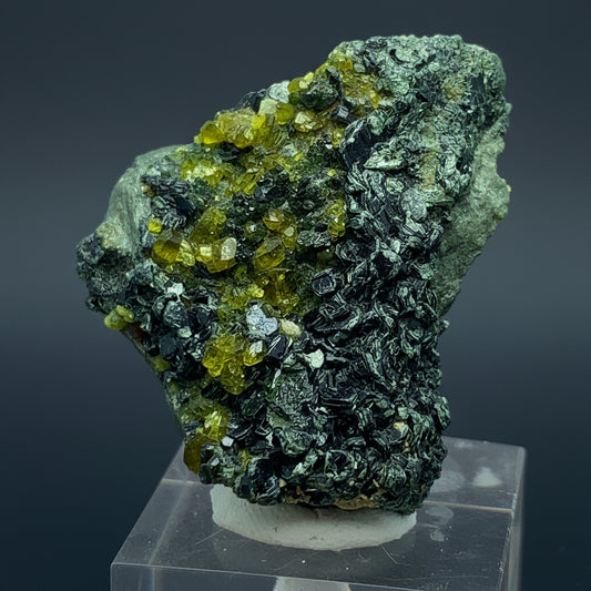 Vesuvianite Crystal, 127 Carat, Biotite Matrix, Idocrase, Shigar Pakistan, Mineral Association, Collector Crystal, Rare Mineral, Pakistan Gemstone