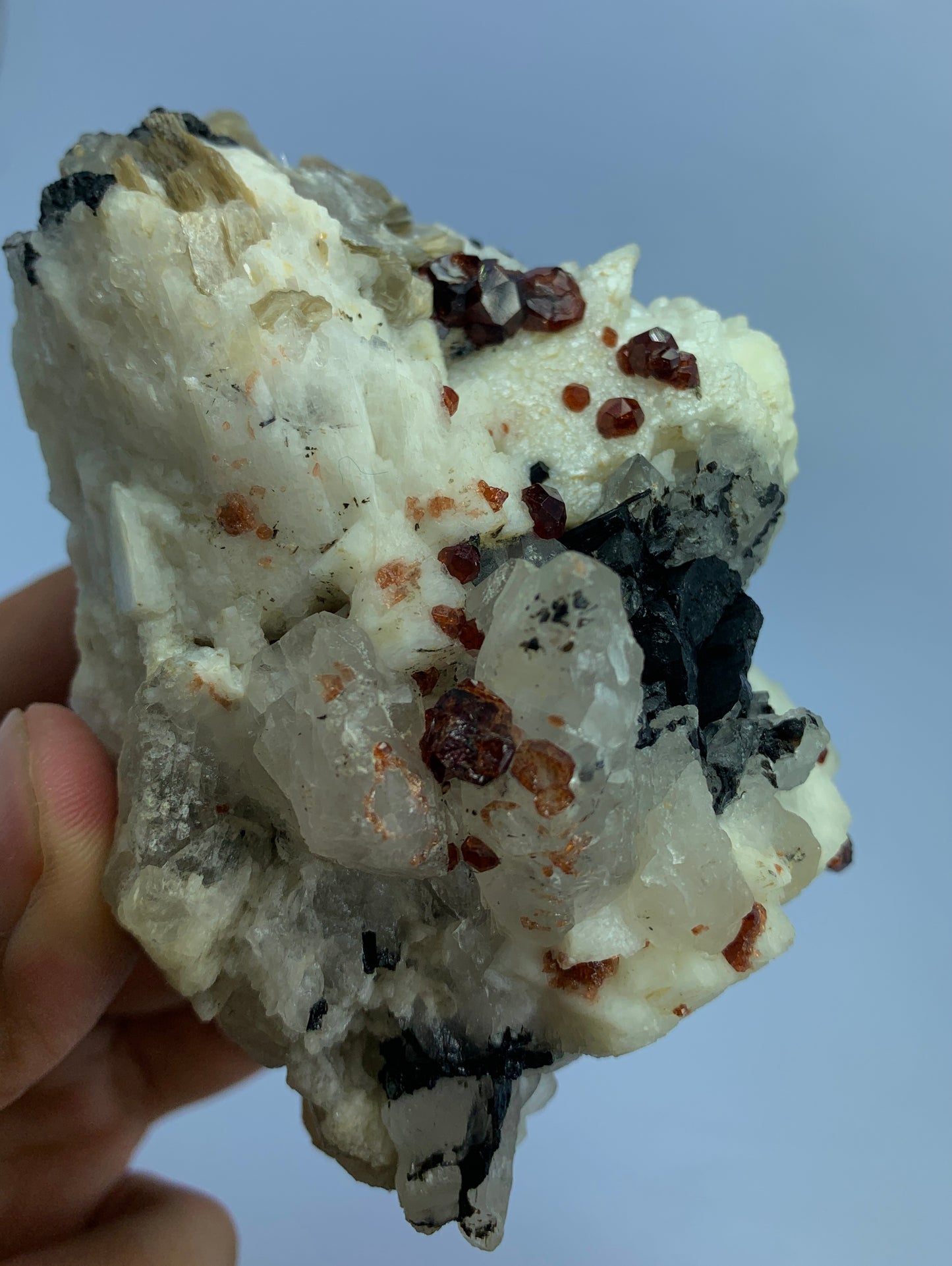 Red Garnet, Black Tourmaline, Feldspar Matrix, Tourmaline Garnet, Pakistan Specimen, Raw Crystal, Mineral Cluster, Collector Grade, Protection Crystal, Garnet on Matrix