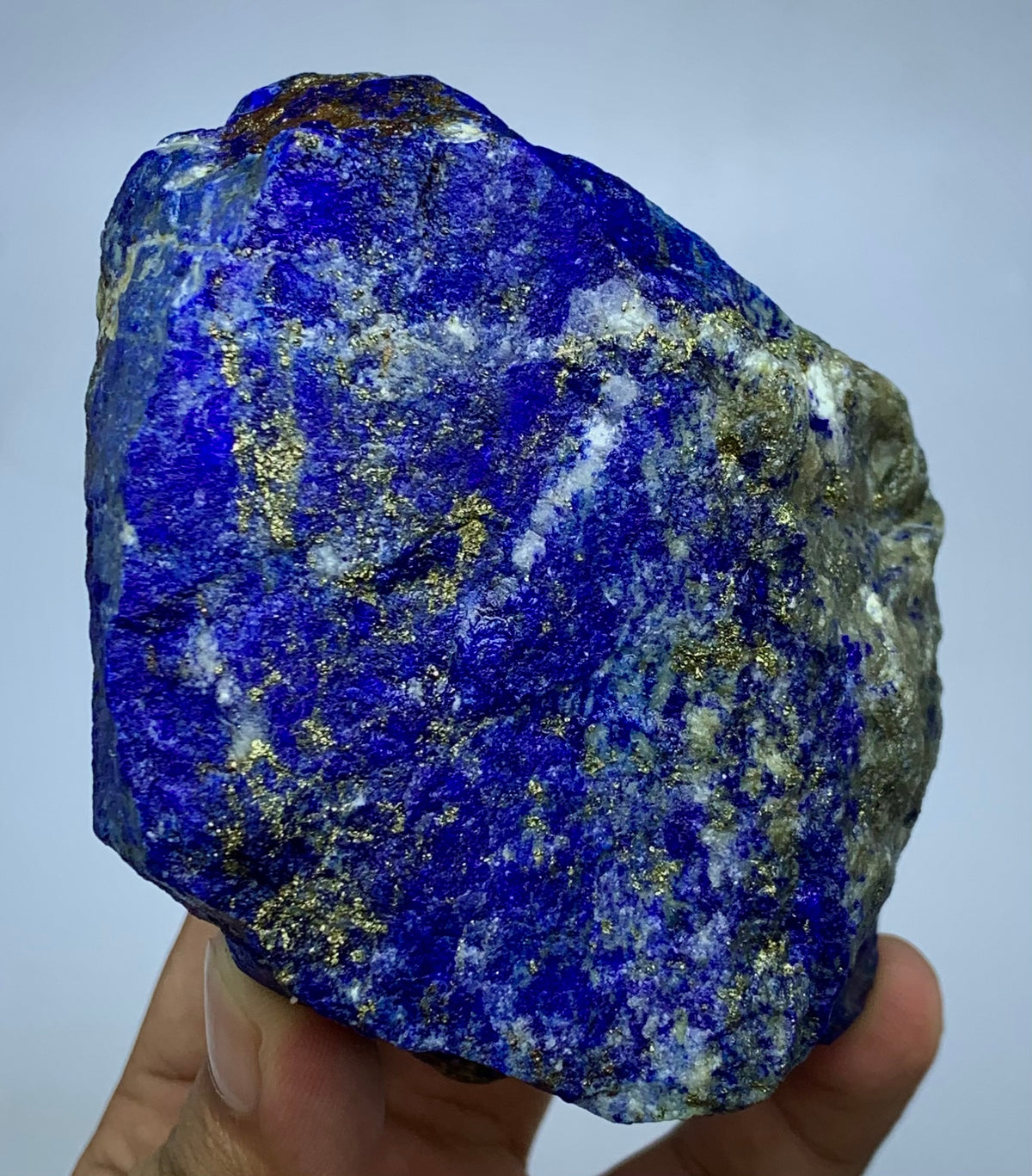 A raw blue lapis lazuli crystal specimen with prominent gold pyrite veins and white calcite inclusions, held in a person's hand against a light gray background.
