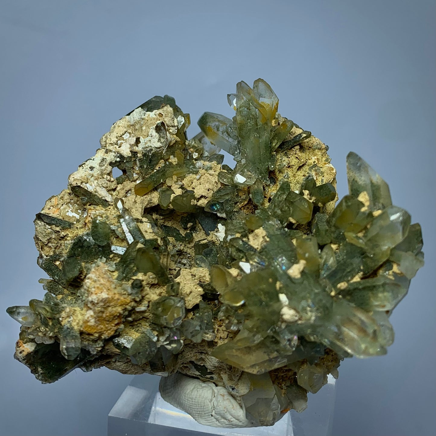 Anatase Crystal, Rare Mineral, Chlorite Quartz, Pakistan Mineral, Balochistan, Collector Specimen, Aesthetic Cluster, Chlorite Inclusion, High Luster, Anatase Specimen