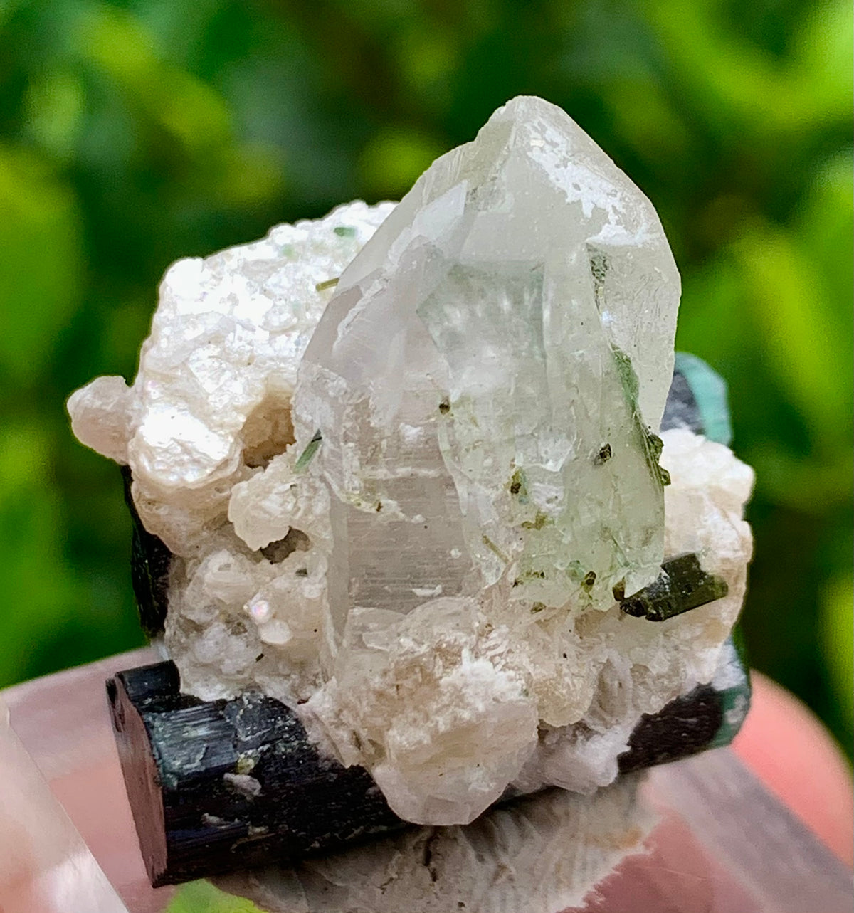 Natural Bluecap Tourmaline Bunches of Crystal with Quartz Terminated Crystal, Lepidolite and Mica Matrix