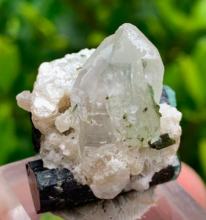 Natural Bluecap Tourmaline Bunches of Crystal with Quartz Terminated Crystal, Lepidolite and Mica Matrix