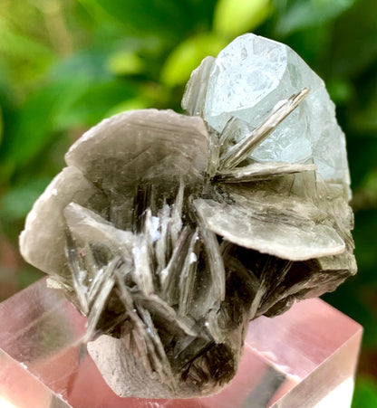 12 Grams Natural Termination Blue Aquamarine Crystal on Muscovite Mica Matrix from Skardu Pakistan