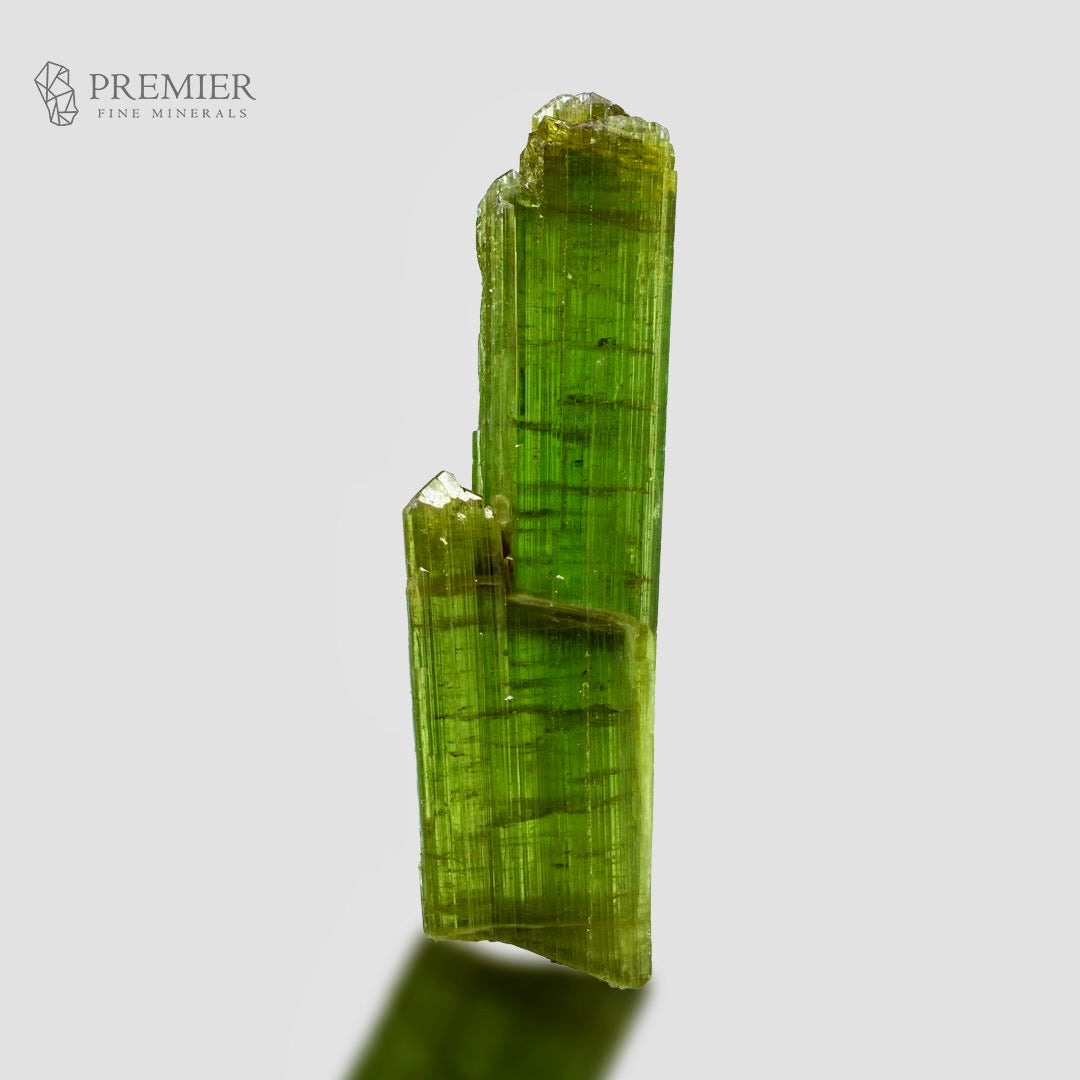 A natural green crystal mineral specimen with a tall, slender columnar structure and a smaller branching section, shown on a light gray background with the Premier Fine Minerals logo in the top left corner.