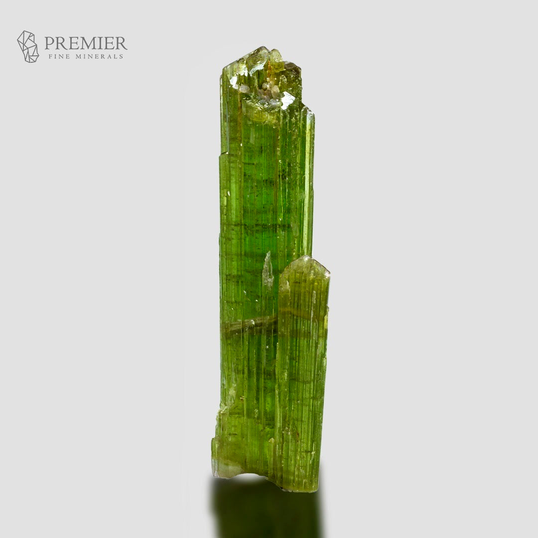 A natural green mineral crystal cluster, identified as a tourmaline rod, displayed on a light gray reflective surface with a soft shadow. The brand logo 'PREMIER FINE MINERALS' is visible in the top left corner.