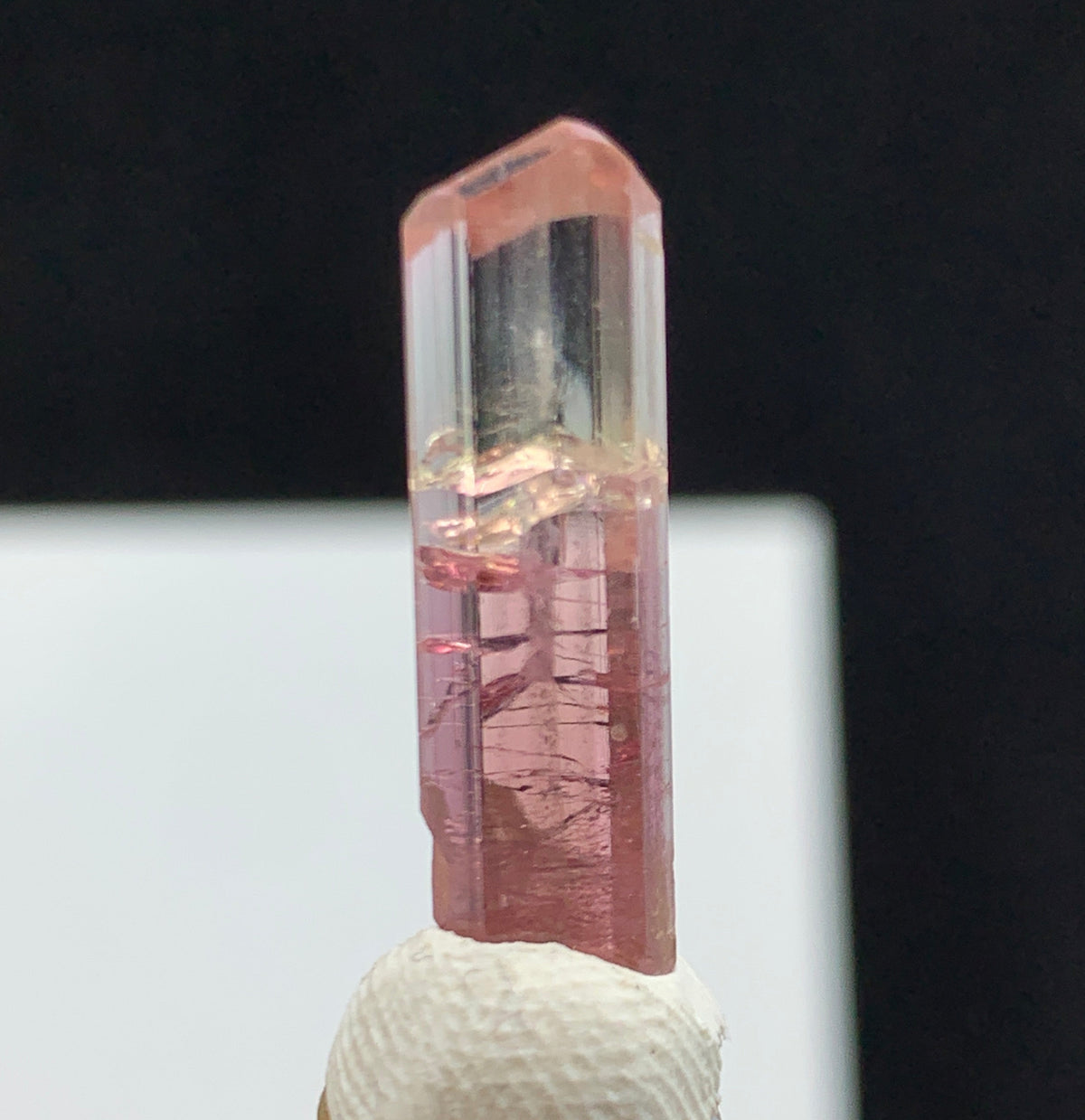 A pink tourmaline crystal point mounted on a clear display stand, with a textured white holder at the base, set against a split black and white background.