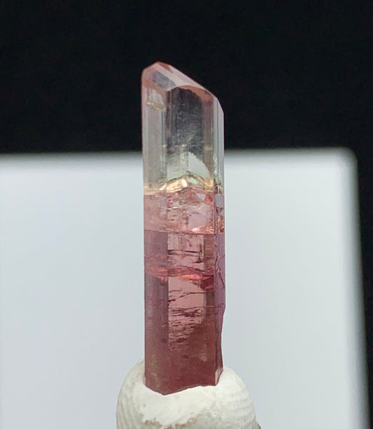 A natural pink tourmaline crystal point mounted on a clear glass or quartz stick, set against a black background with a white rectangular backdrop.