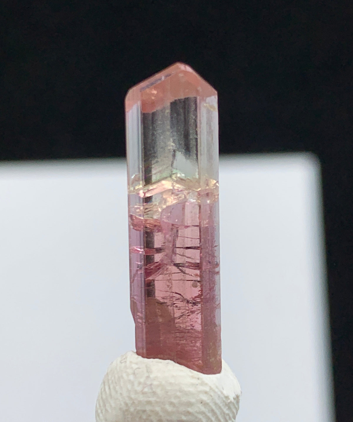 A pink tourmaline crystal point mounted on a clear glass rod with a textured white holder, set against a black background with a white rectangular backdrop.
