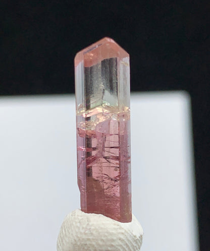 A pink tourmaline crystal point mounted on a clear glass rod with a textured white holder, set against a black background with a white rectangular backdrop.