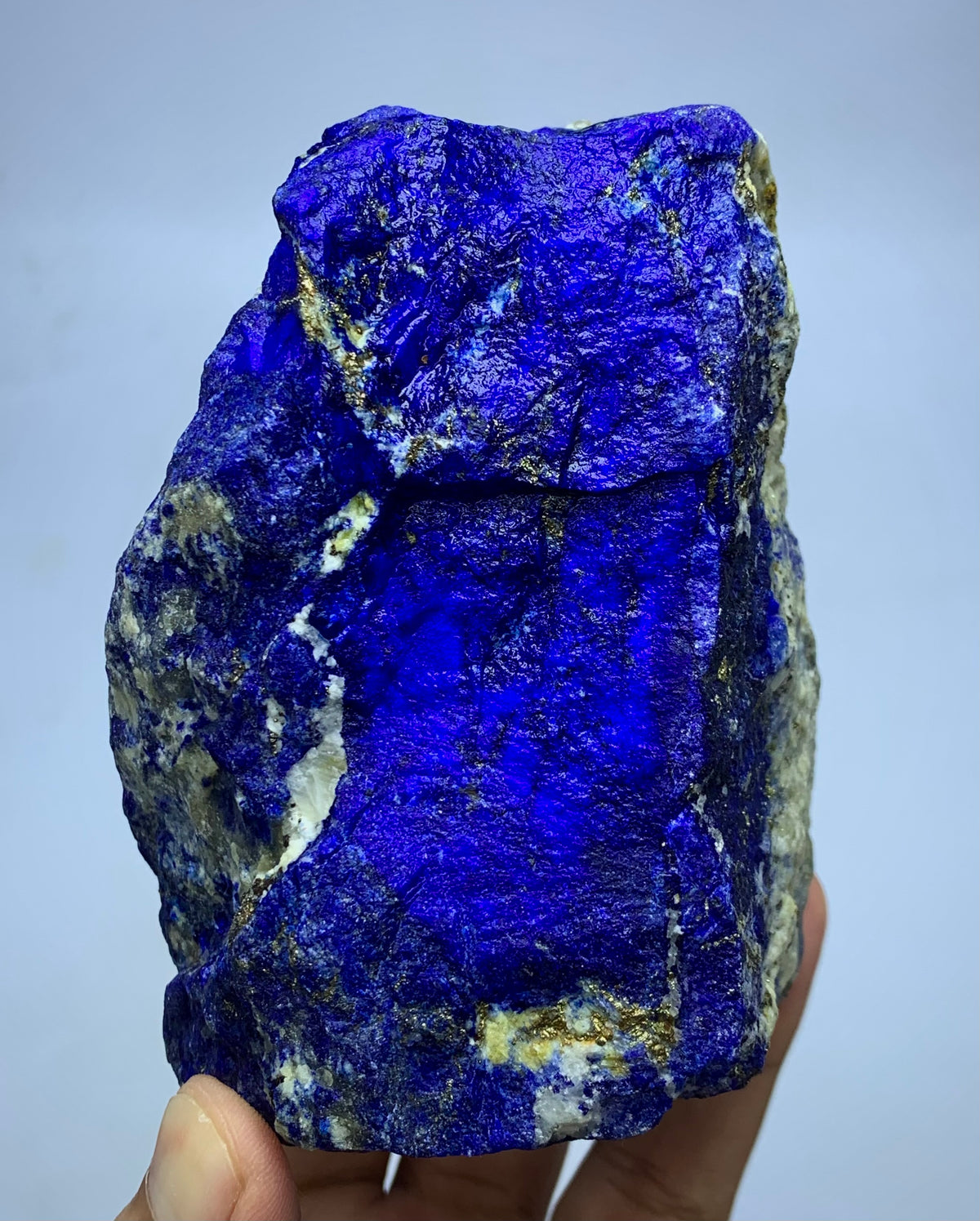 A raw blue lapis lazuli crystal specimen with bright cobalt blue matrix and gold pyrite veins, held in a person's hand against a light gray background.