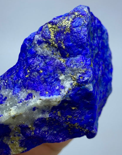 A raw lapis lazuli crystal specimen with deep blue coloration, white matrix, and scattered metallic gold pyrite flecks, held by a hand against a light gray background.