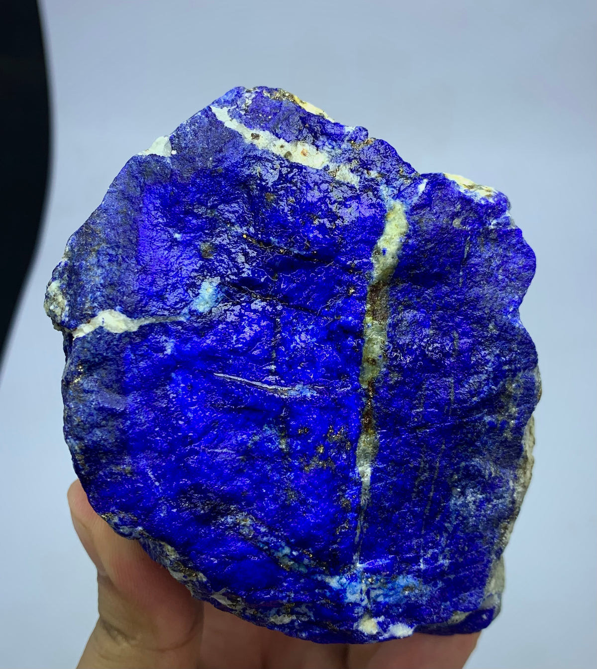 A raw blue lapis lazuli crystal specimen with prominent white veining and a rough natural texture, held in a hand against a light gray background.