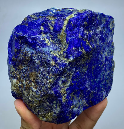 A raw, rough Lapis Lazuli crystal held in a hand against a light gray background. The crystal is characterized by its deep blue color with prominent metallic gold pyrite veins and some white calcite inclusions.