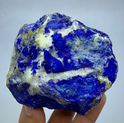 A raw lapis lazuli crystal specimen with deep blue crystals and white matrix, held in a person's hand against a light gray background.