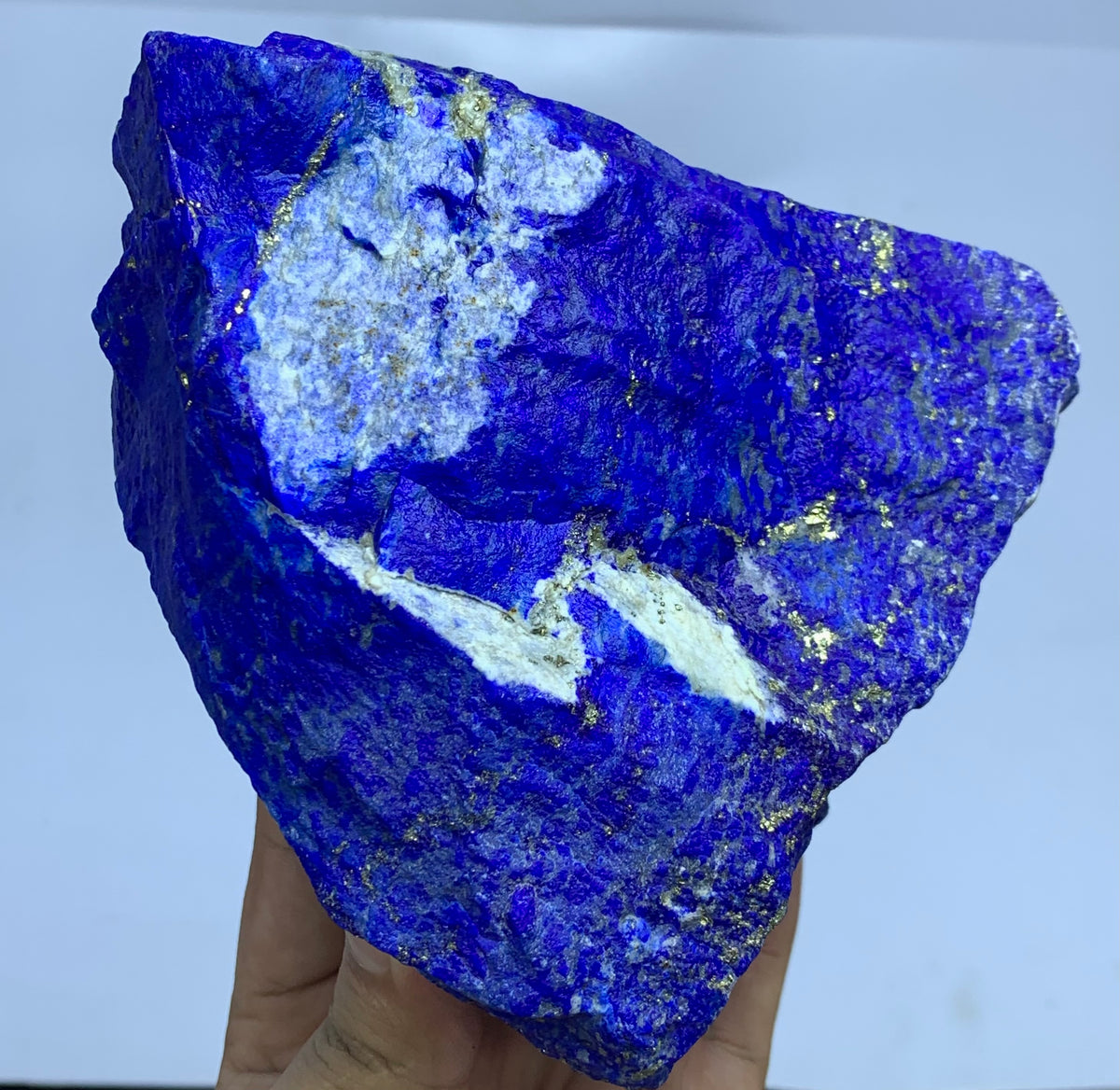 A raw lapis lazuli crystal specimen with deep blue coloration, white cloudy matrix areas, and metallic gold pyrite inclusions, held in a hand against a plain light background.