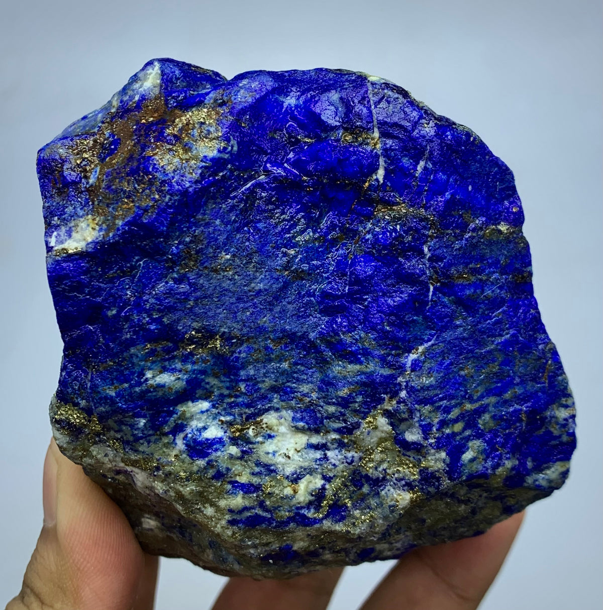 A raw lapis lazuli crystal specimen with deep blue, white, and gold matrix, held in a person's hand against a light gray background.
