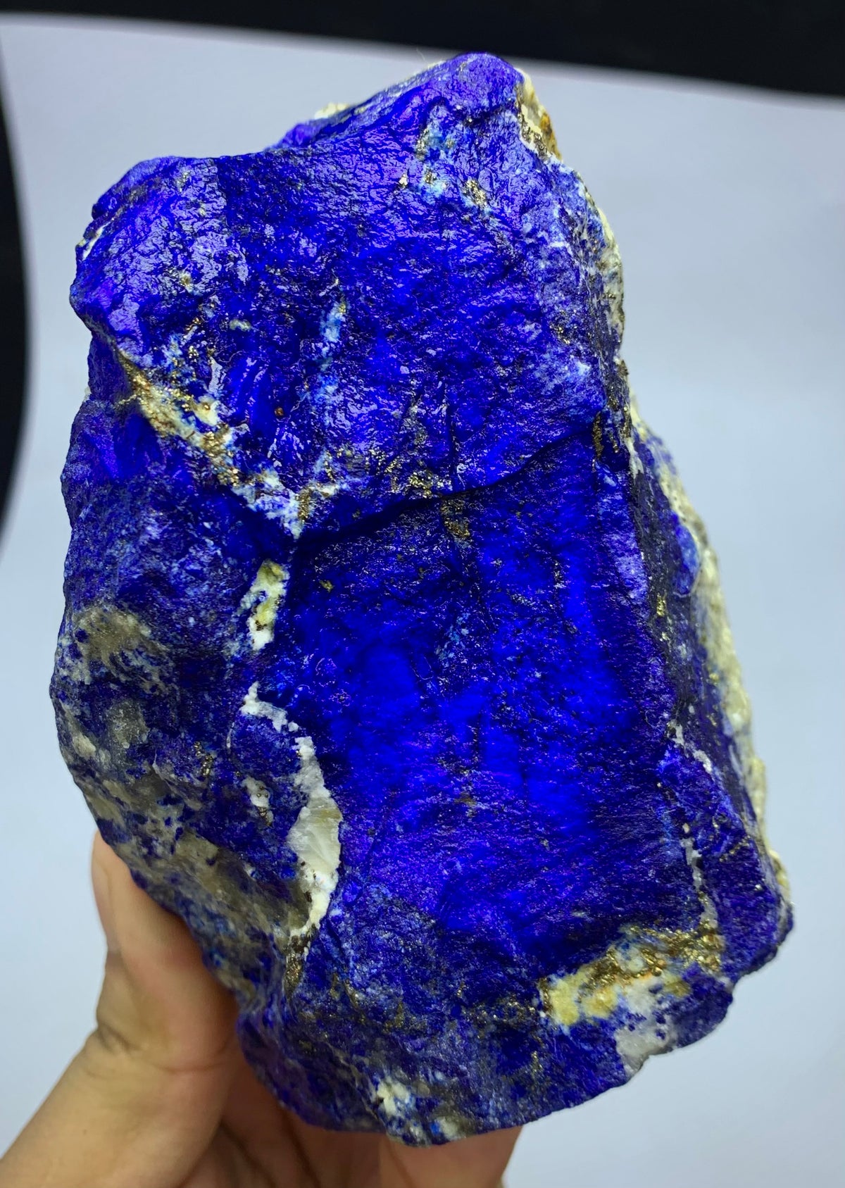 A raw, rough blue lapis lazuli crystal specimen with prominent gold pyrite veins, held in a person's hand against a white background.