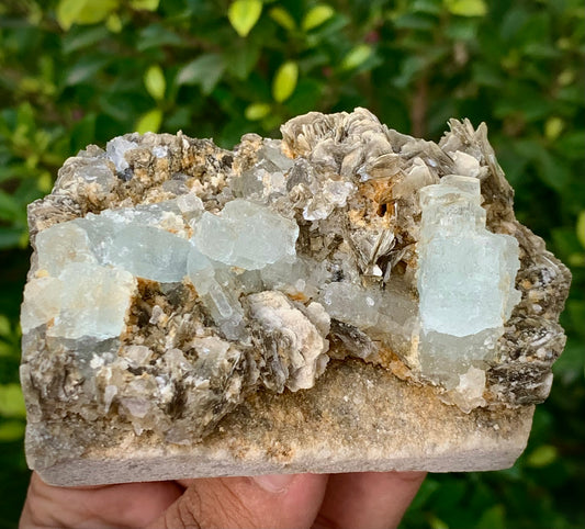 A hand holding a natural crystal cluster specimen with pale blue translucent quartz-like formations and a tan matrix, photographed outdoors against a blurred green leaf background.